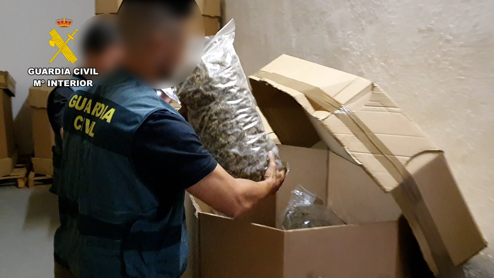 Imagen de la operación Jardines, que permitió incautar el mayor alijo de marihuana de España