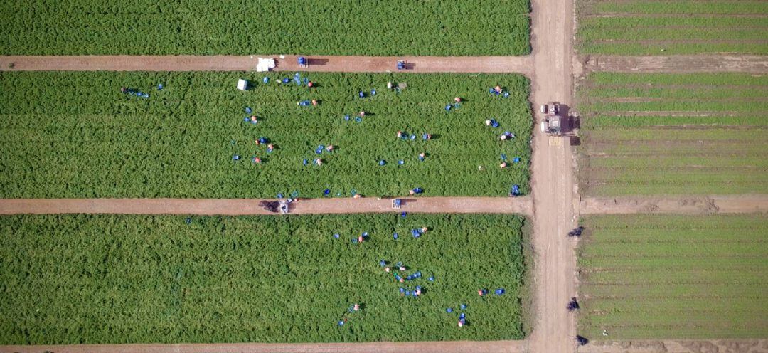 Superficie agrícola