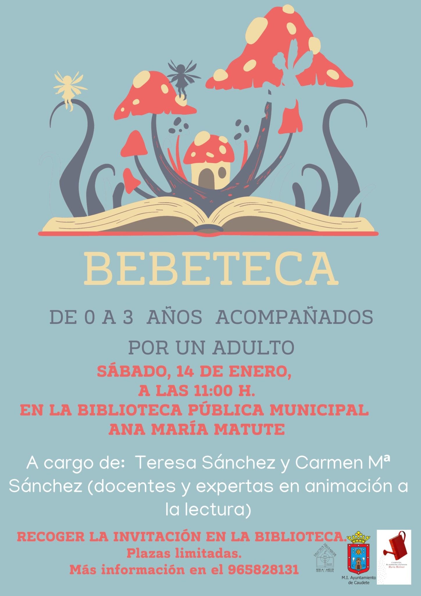 Cartel de la actividad