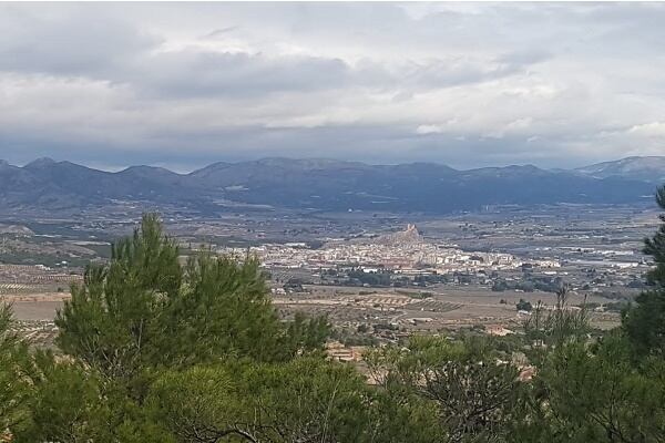 Fotografías de anteriores concursos