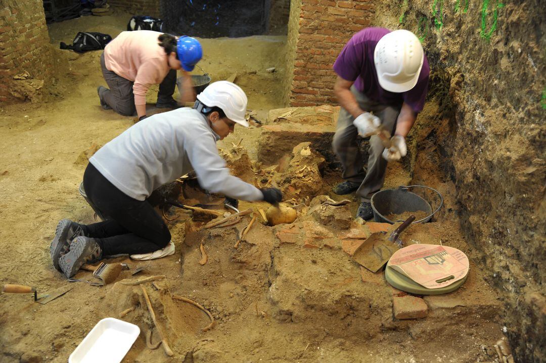 Labores de exhumación que se están llevando a cabo en la finca de &quot;Los Alfredos&quot; en Medina del Campo