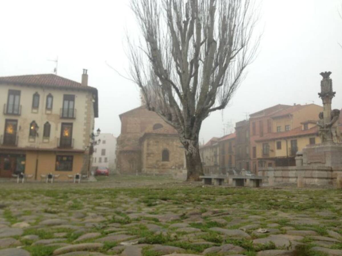 Ecologistas pide que se paralice la licitación de las obras del Grano por irregularidades en el expediente