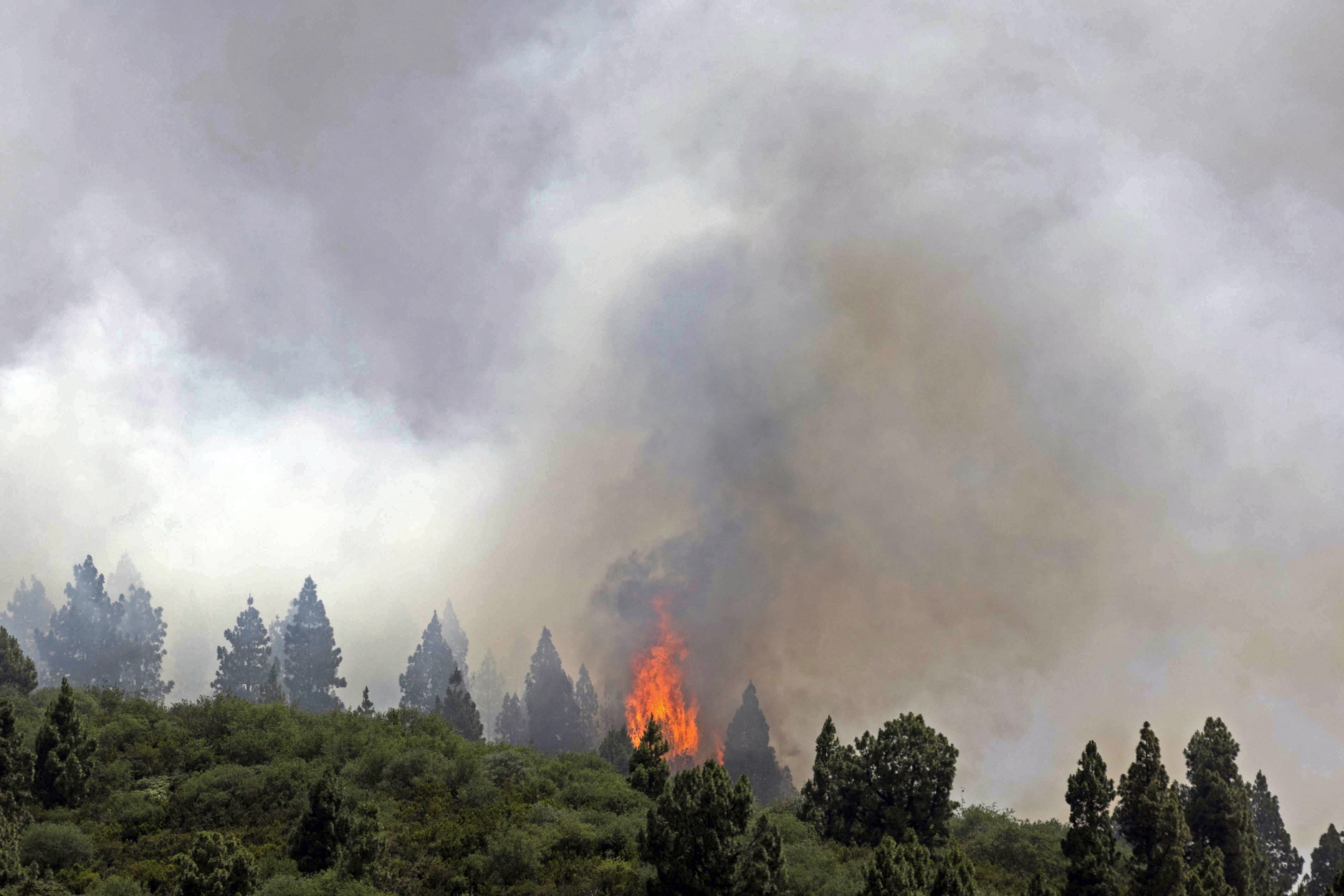 Medios aéreos intervienen en la extinción del incendio forestal que se declaró este jueves en la zona de Los Campeches en el municipio tinerfeño de Los Realejos, en una zona de difícil acceso