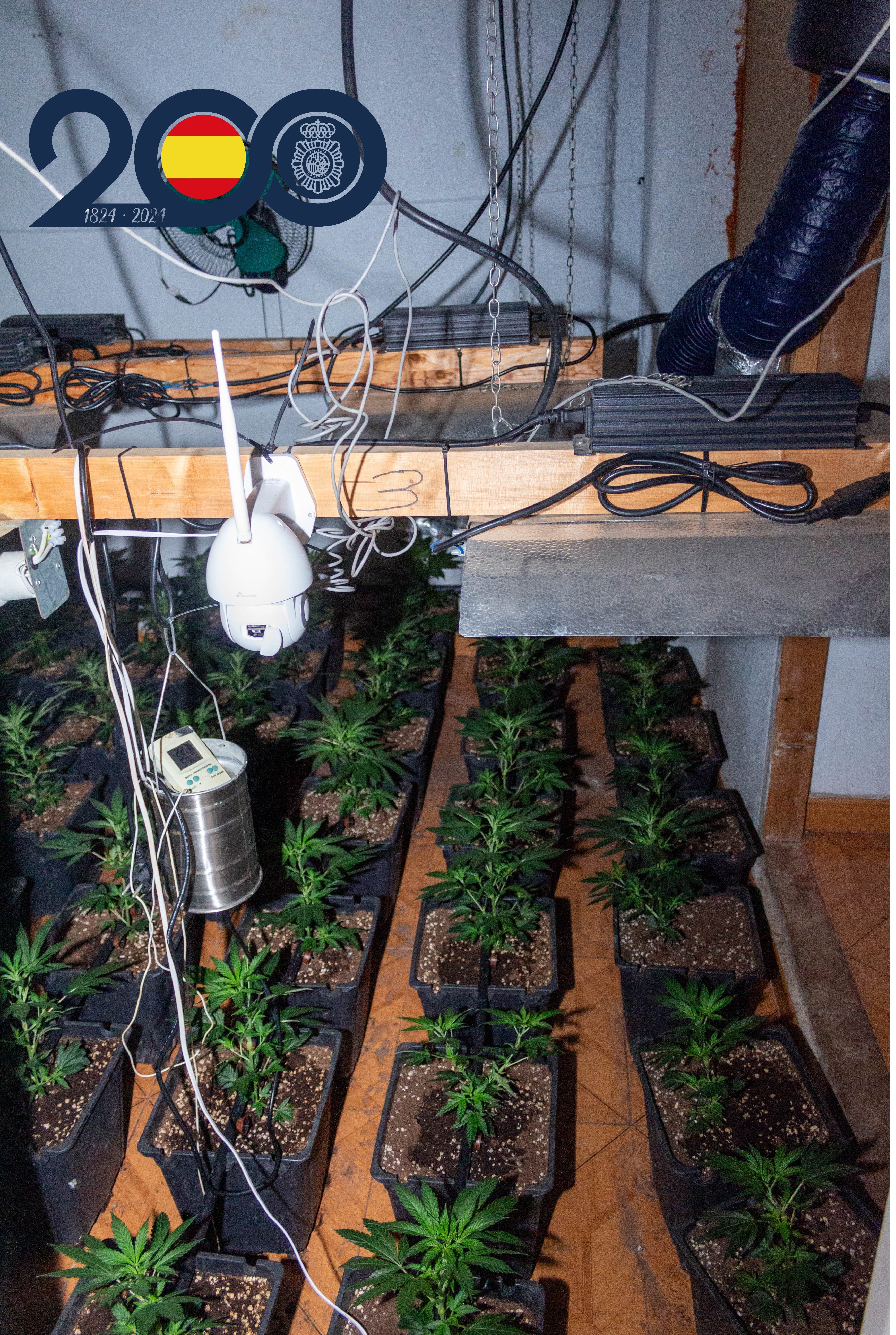 La Policía Nacional desmantela dos plantaciones 'indoor' de marihuana en Alcantarilla y detiene a seis personas