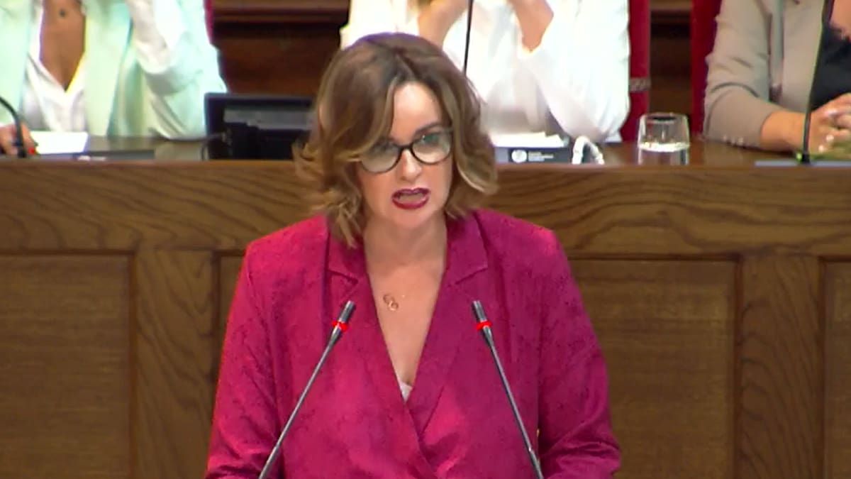 Bizkaia prevé perder 125 millones en recaudación por la rebaja de impuestos en la energía