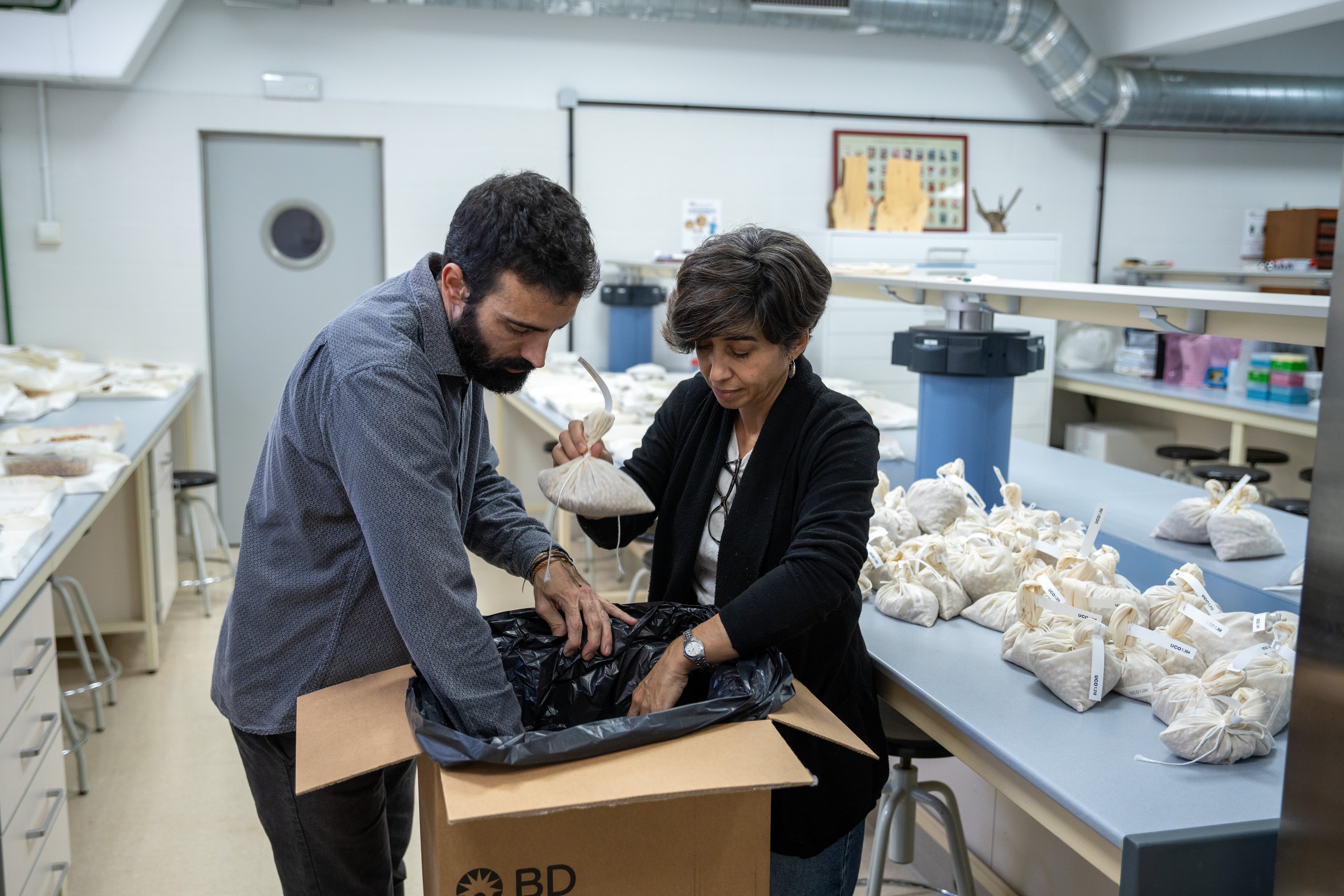 Conchi Muñoz y Pablo Merello del proyecto Gen4olive preparan las semillas que se entregarán en Svalbard