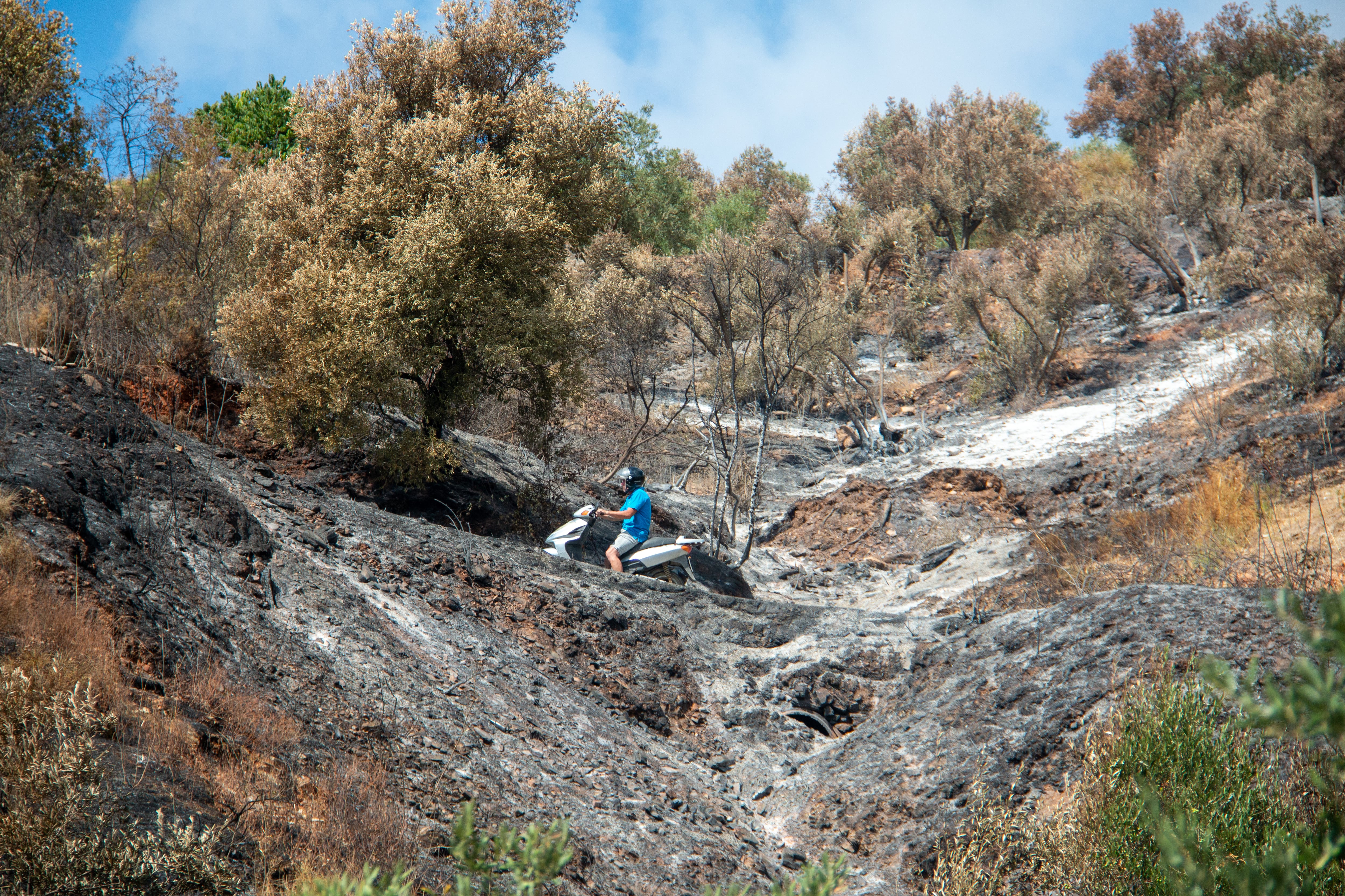 Día después del incendio forestal en el paraje de Peña Escrita de Almuñécar (Granada)