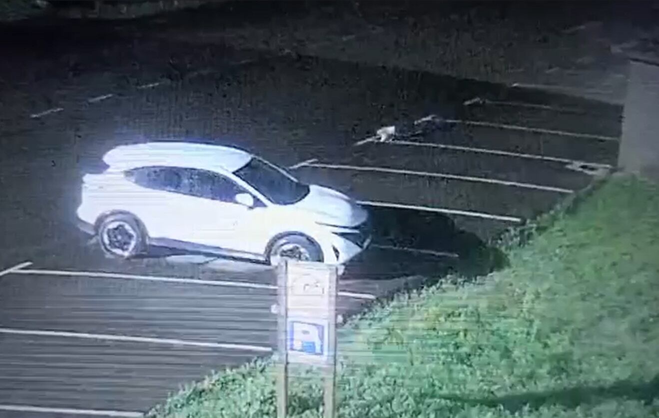 Vehículo Cabárceno