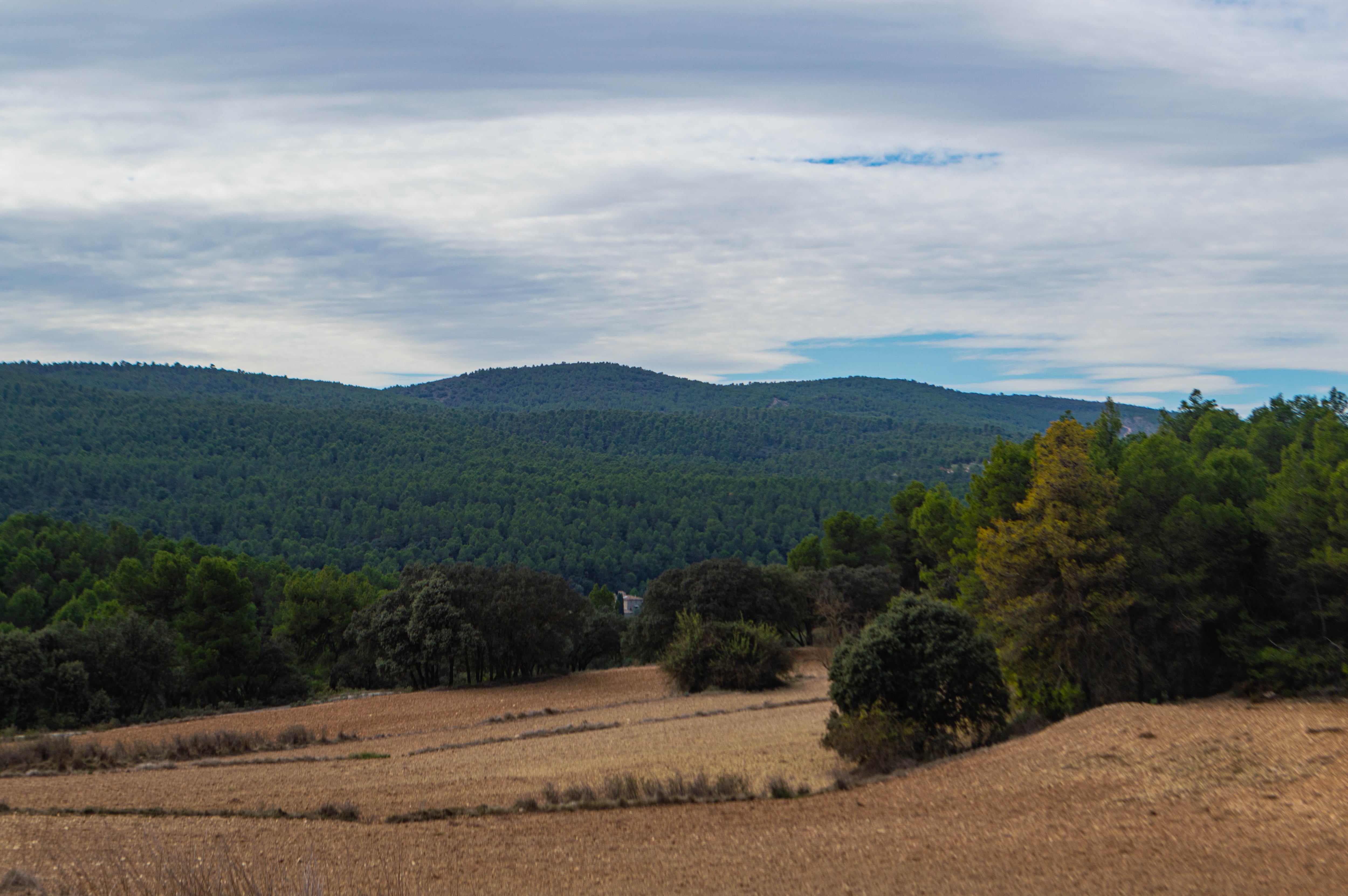 Aviana en Bocairent