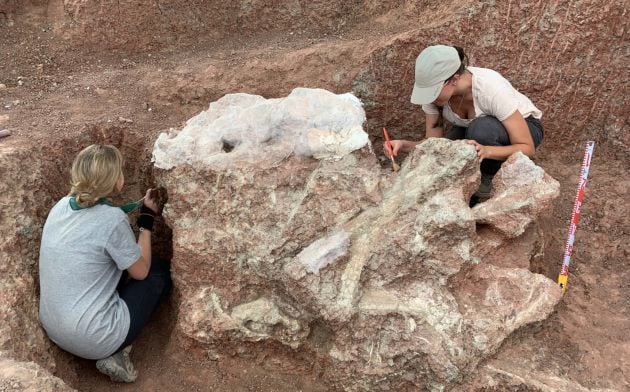 Los resultados de las primeras investigaciones del yacimiento de Poyos se presentarán el próximo otoño.