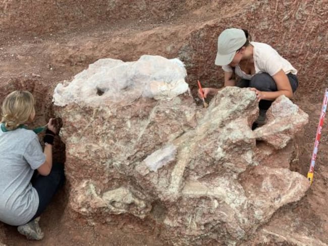 Los resultados de las primeras investigaciones del yacimiento de Poyos se presentarán el próximo otoño.