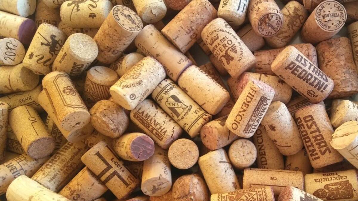 Entrevista a Joaquín Edo, fundador de Biosocyr