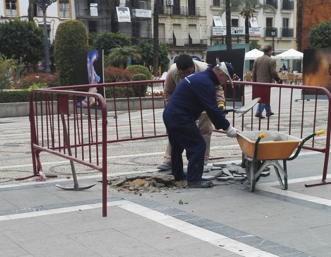 Operarios trabajando en la construcción