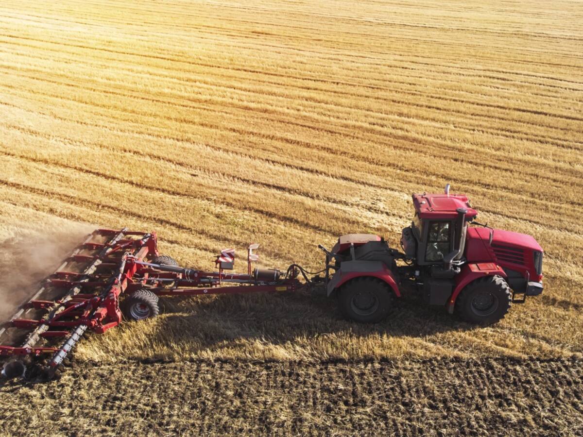 ¿Deberíamos pagar más por lo que comemos?