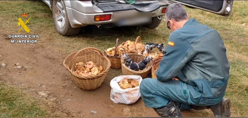 Operación Boletus Cadena SER