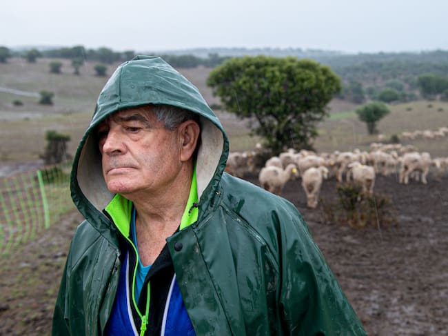 Eduardo del Rincón se encuentra atrapado con su rebaño de mil ovejas.