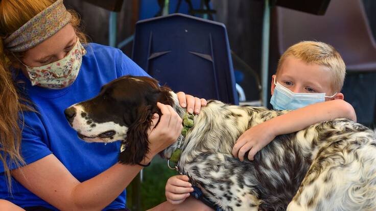 Entrevista a Gonzalo Moreno del Val, sobre el incremento de adopciones de perros en Alicante