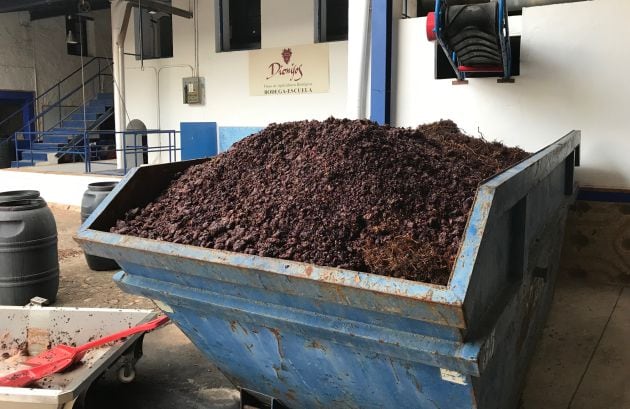 Imagen del contenedor, cargado de uva para desarrollar coñac, en la Bodega de las Estrellas de Valdepeñas