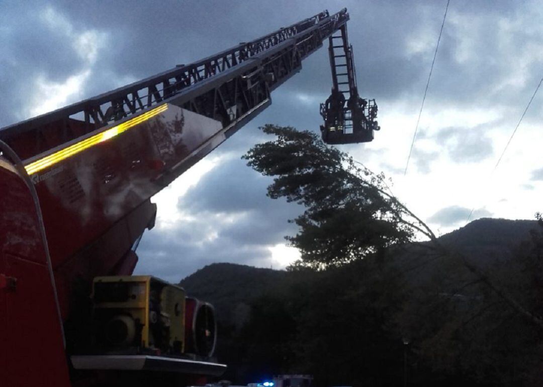 Intervención de los Bomberos Forales de Álava en Artziniega por la caída de un árbol en el tendido eléctrico