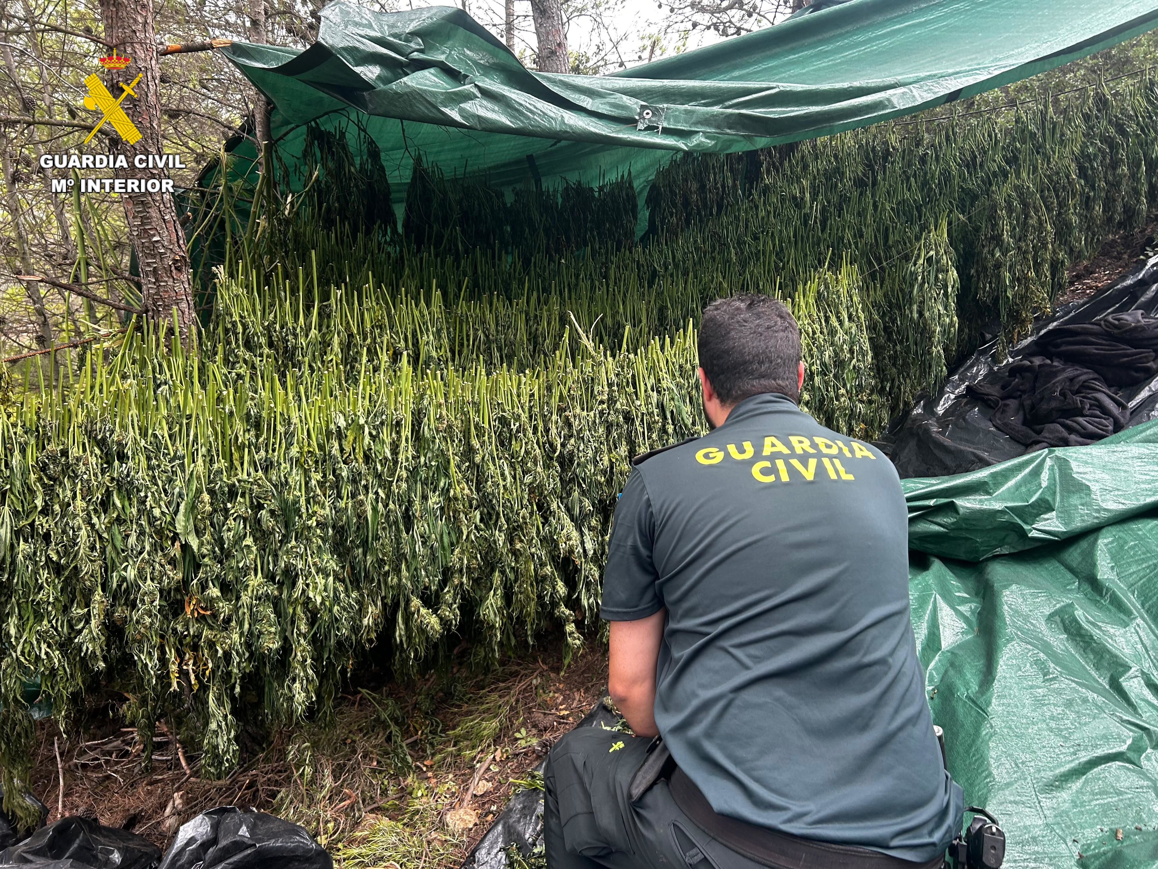 Actuación de la Guardia Civil en Bicorp (Fuente: Guardia Civil)