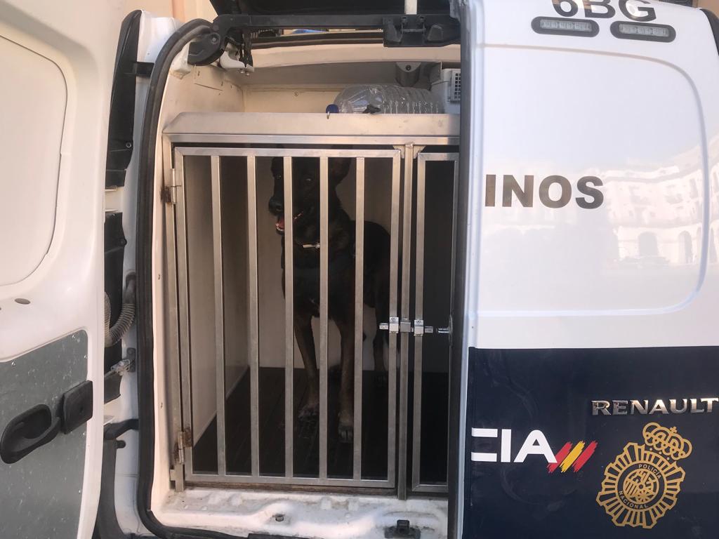 Uno de los guías caninos, a la espera de su exhibición