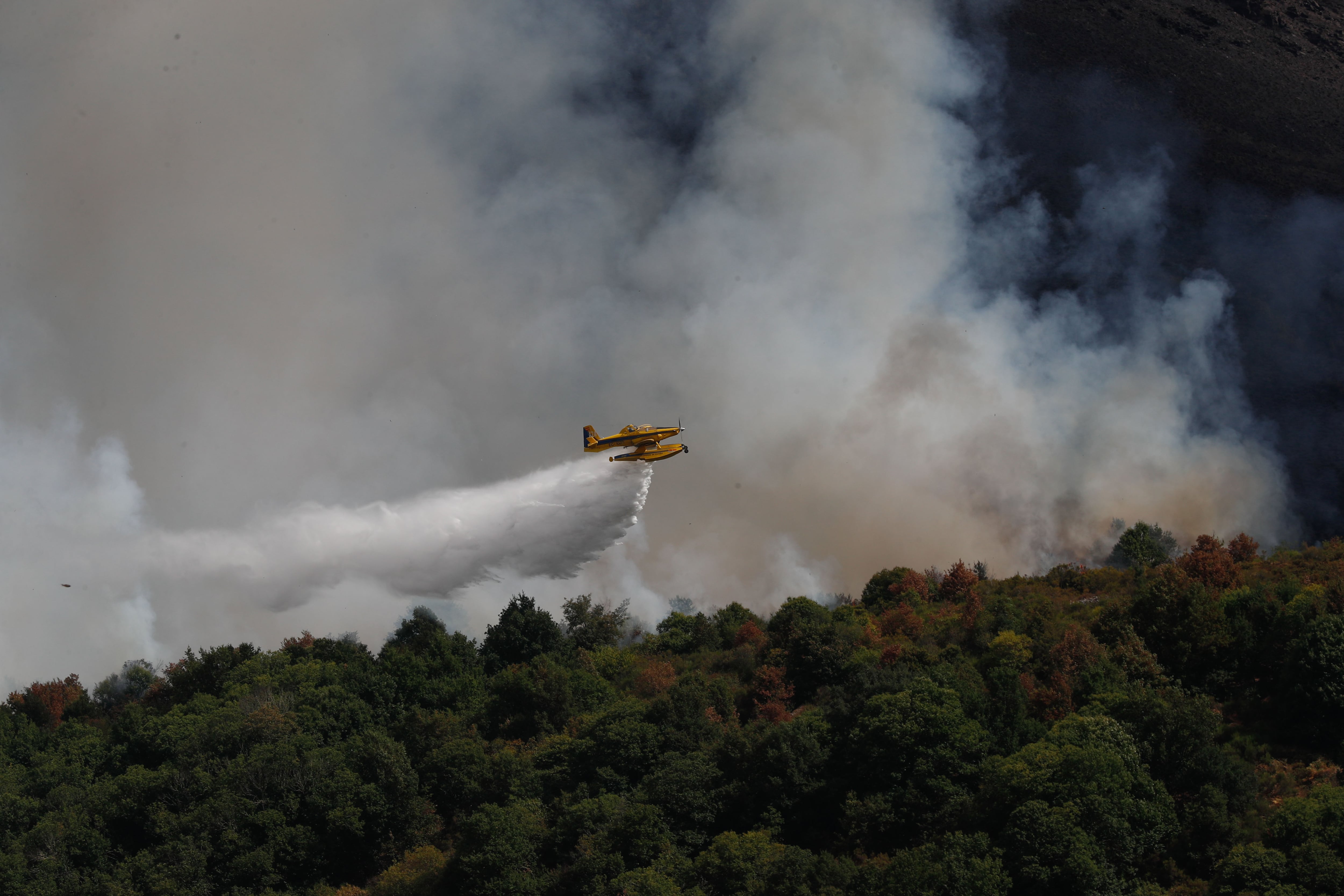 Extinción de los incendios en Galicia este mes de agosto
EFE/EliseoTrigo
