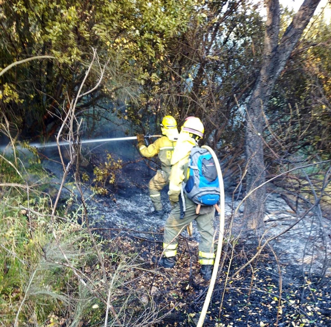 El incendio provocado quemó 52 hectáreas