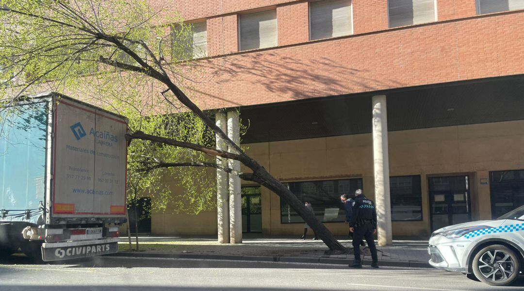 Un camión se lleva por delante un árbol en la ronda 