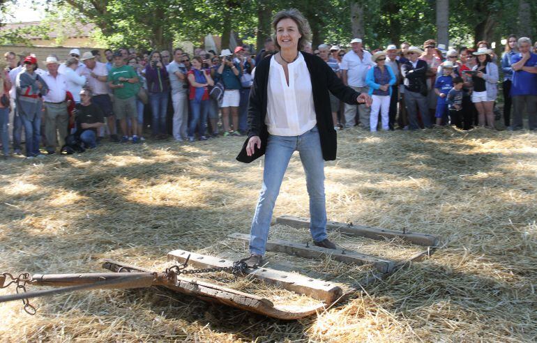 La Ministra de Agricultura subida a un trillo en la Fiesta de la Trilla de Castrillo de Villavega.