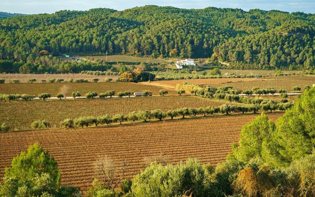 Paisatge agrari i forestal característic a la província de Barcelona