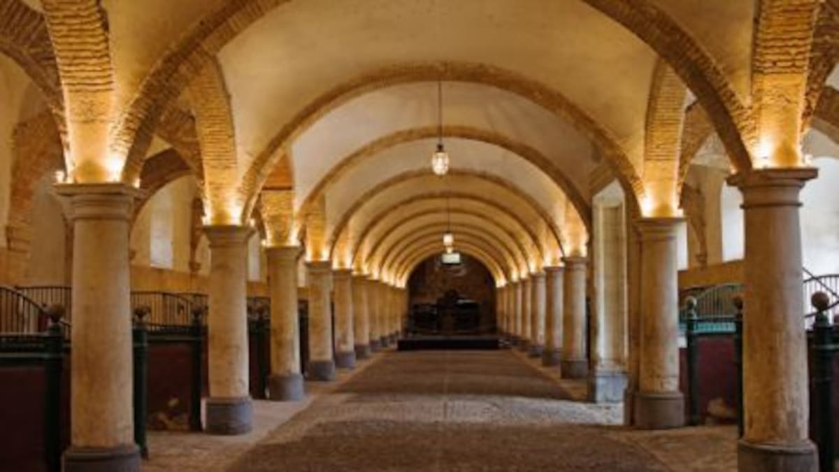 Hacemos Córdoba denuncia la falta de medidas contra incendios en Caballerizas Reales