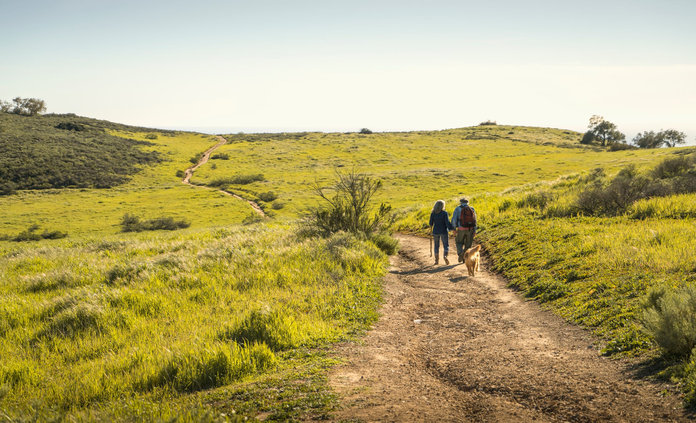 Los caminos, símbolos de unión entre pueblos