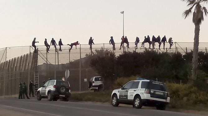 Algunos de ellos permanecen encaramados en la valla en las proximidades del cementerio musulmán