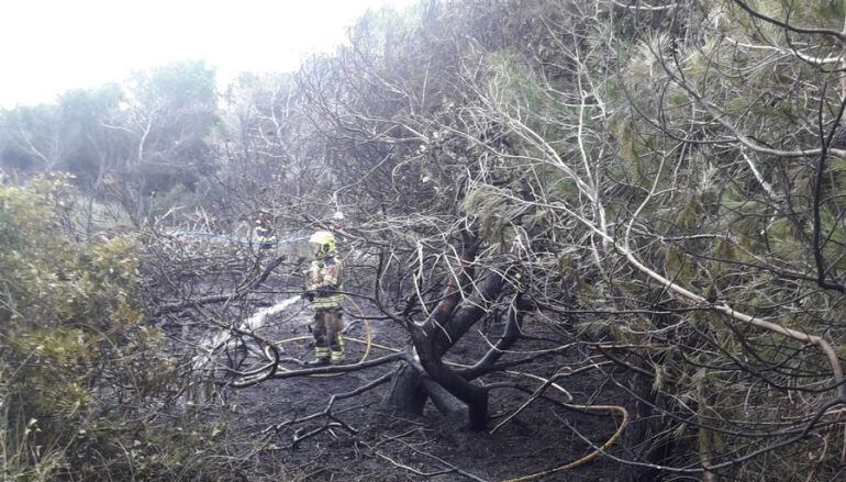 Incendio en el Saler