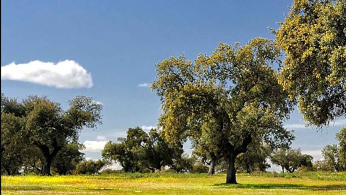 26,5 millones pagados en ayudas por la Junta