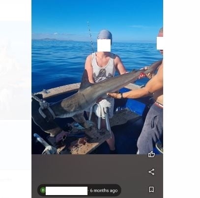 Imagen de una reseña sobre una empresa de pesca deportiva, con un tiburón a bordo del barco.