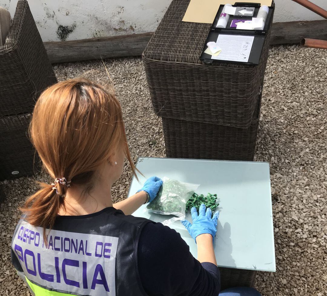 Droga incautada durante uno de los registros