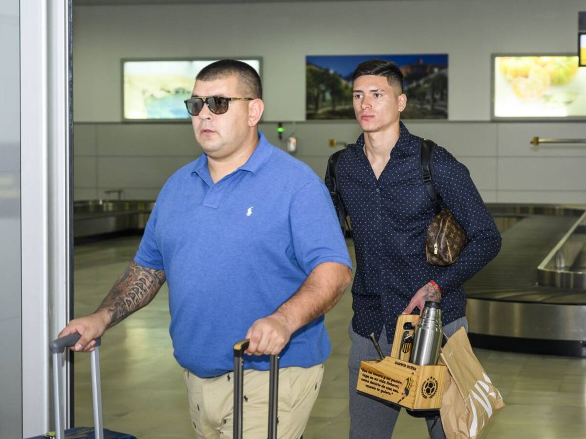 "¿Un verano movido con Darwin? Ya lo está siendo, hay conversaciones"