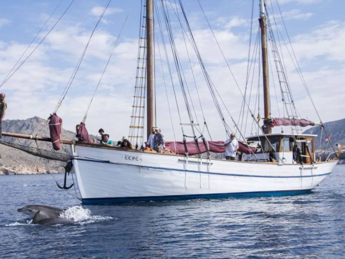 Limpieza en el entorno del Fuerte de Navidad