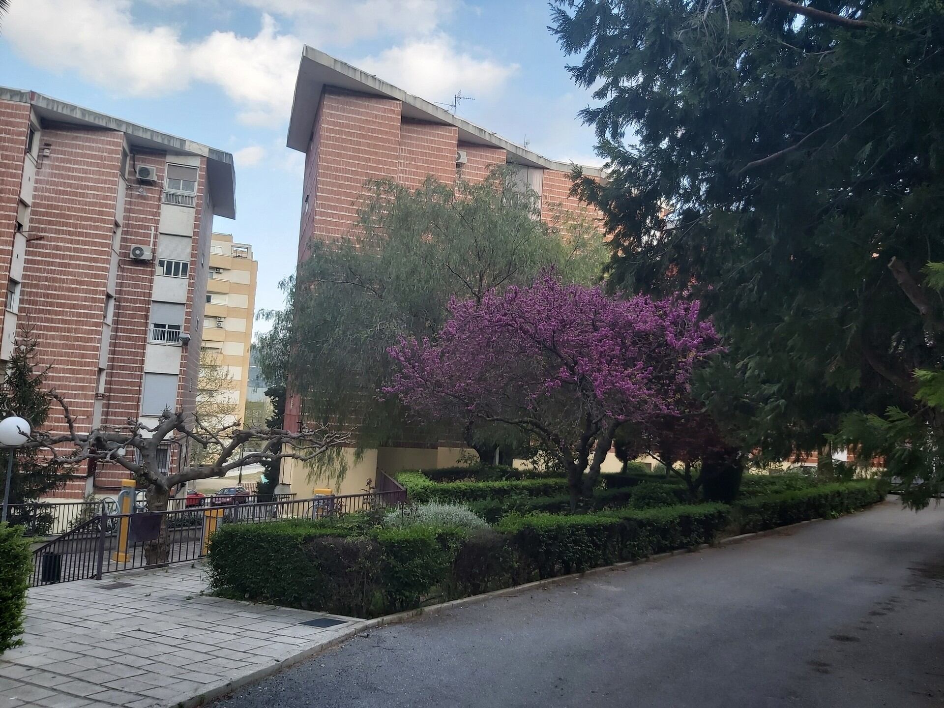 La Font Dolça es uno de los barrios que se incluye en el plan de mejora en eficiencia energética y reurbanización con el que optaran a ayudas europeas.