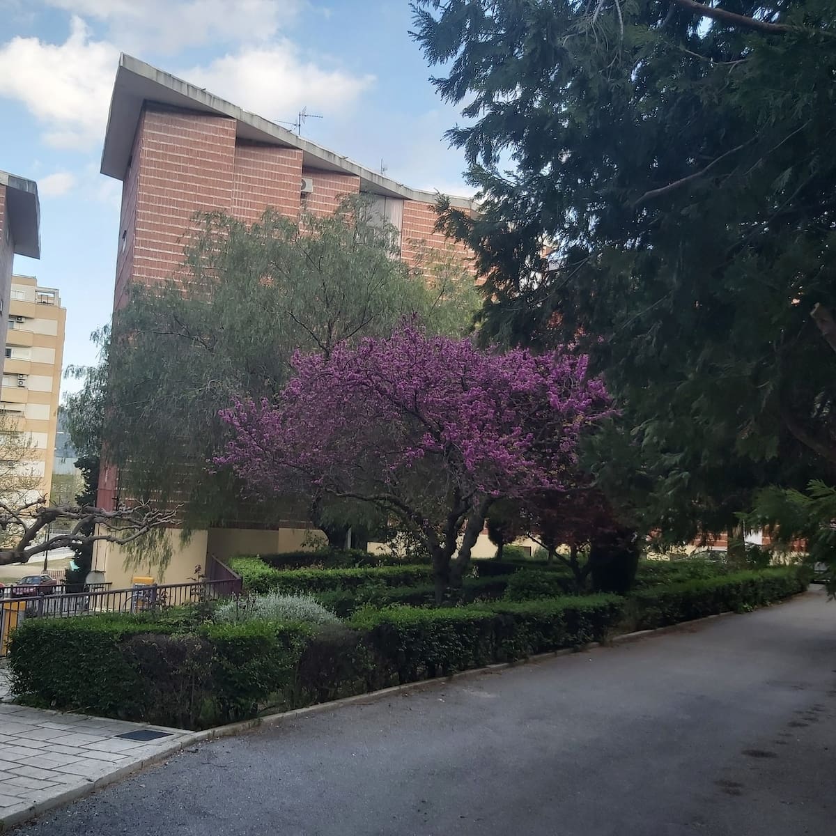 Una empresa concurre a la rehabilitación de tres de los 17 bloques de la Font Dolça