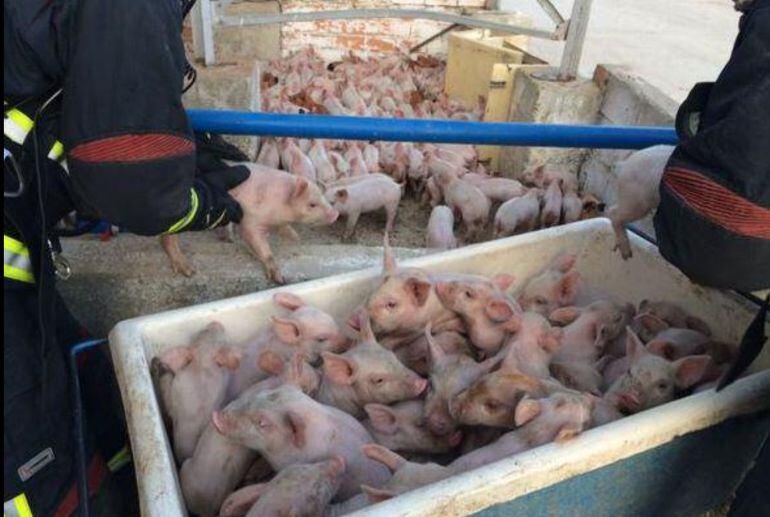 Imagen facilitada por los bomberos de Albacete