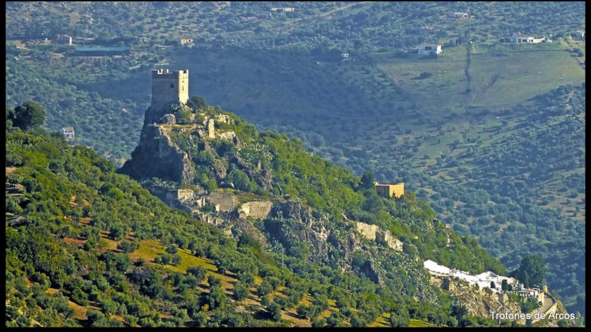 El incendio forestal en Zahara fue intencionado y quedó muy cerca de las casas
