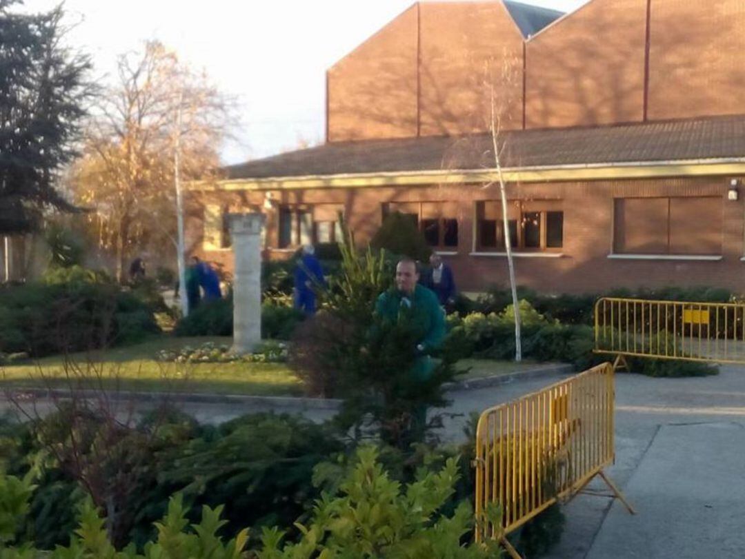 Comienza la tradicional venta de árboles de Navidad en la Villa San José de Palencia