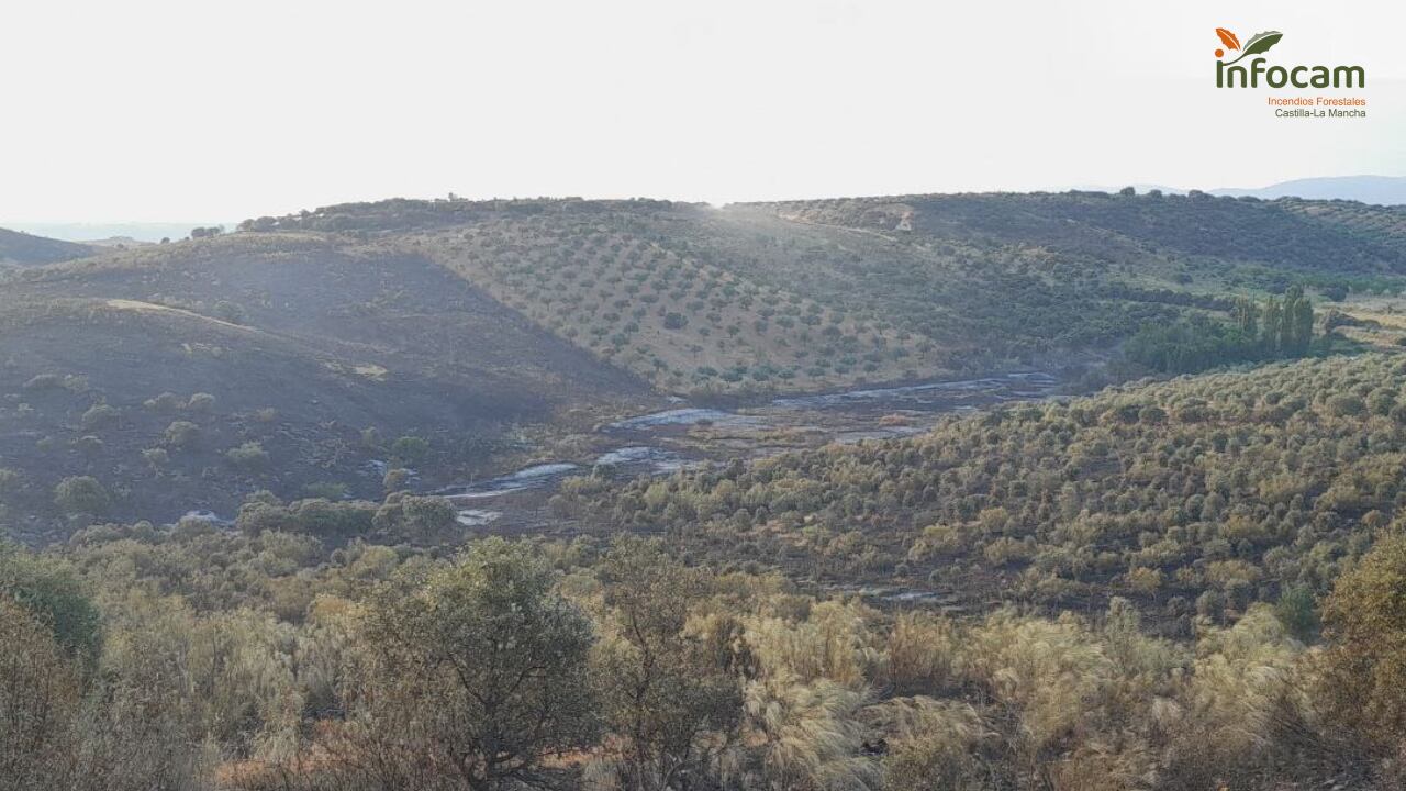 Incendio forestal en la Finca Peralosillas, en Alcaudete de la Jara