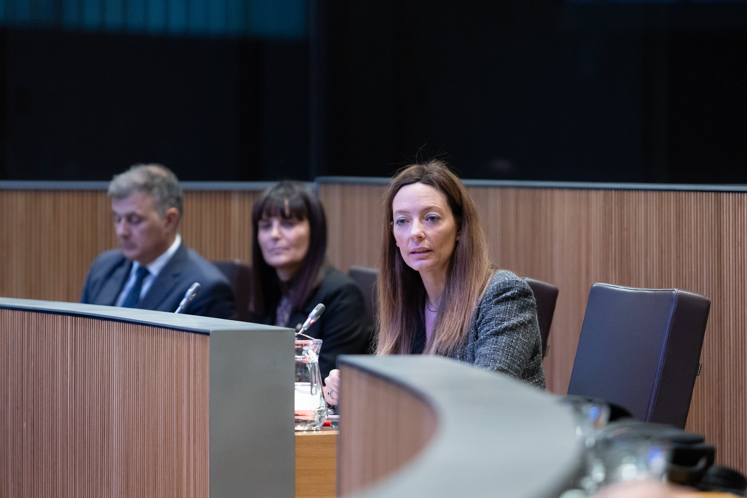 La ministra de Salut, Helena Mas, durant la sessió de control al Govern del Consell General