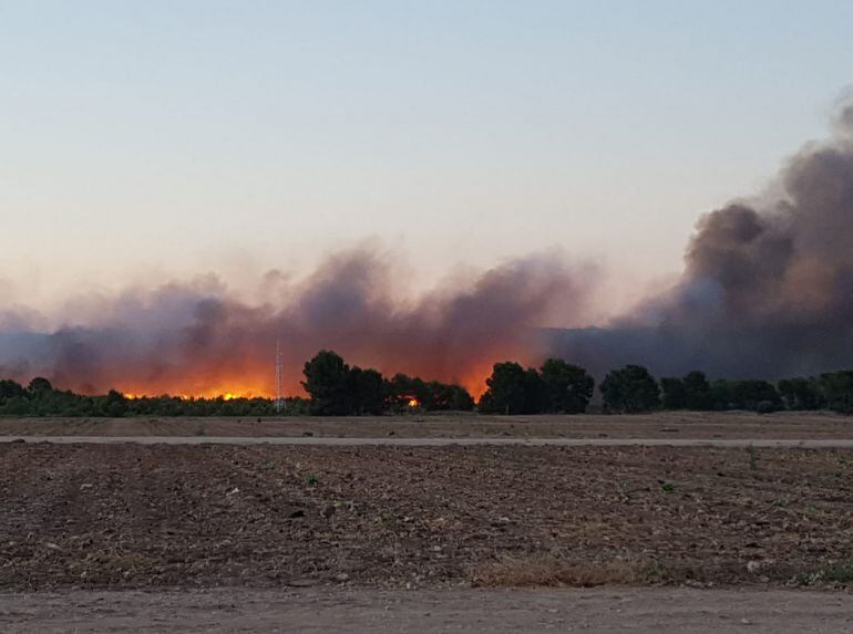 A las 6:37 de esta mañana se da por estabilizado el incendio forestal declarado la pasada noche en la zona de El Campillo en Moratalla