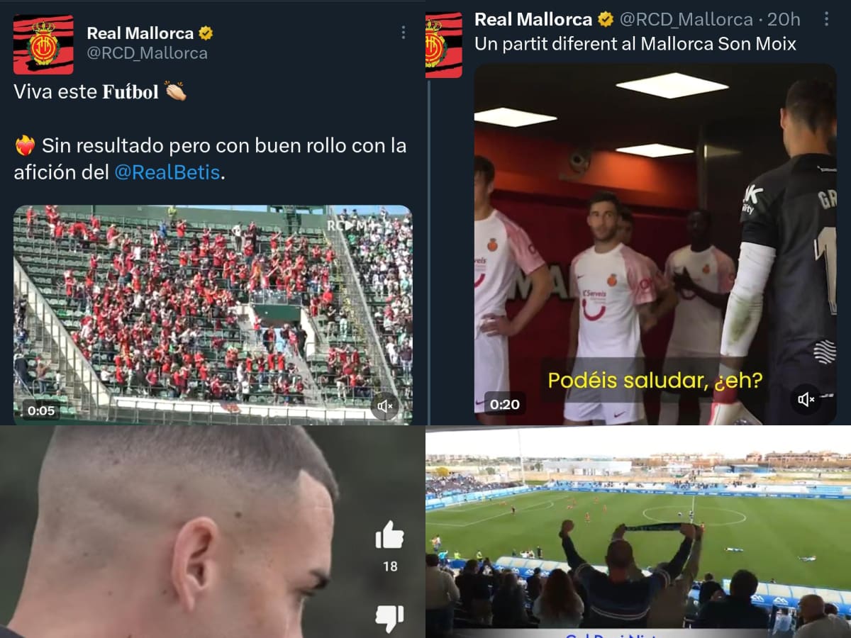 Lo mejor de las redes (24/03/2023)