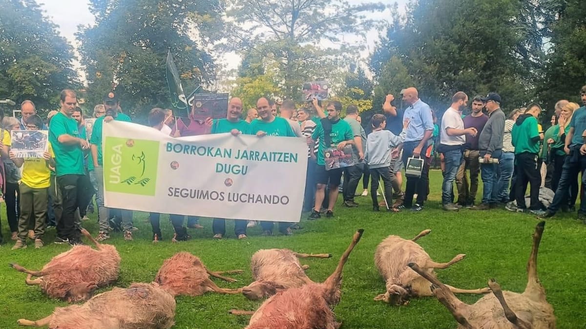 Álava actualizará las compensaciones a los ganaderos por ataques de lobo, buitre y otras especies silvestres
