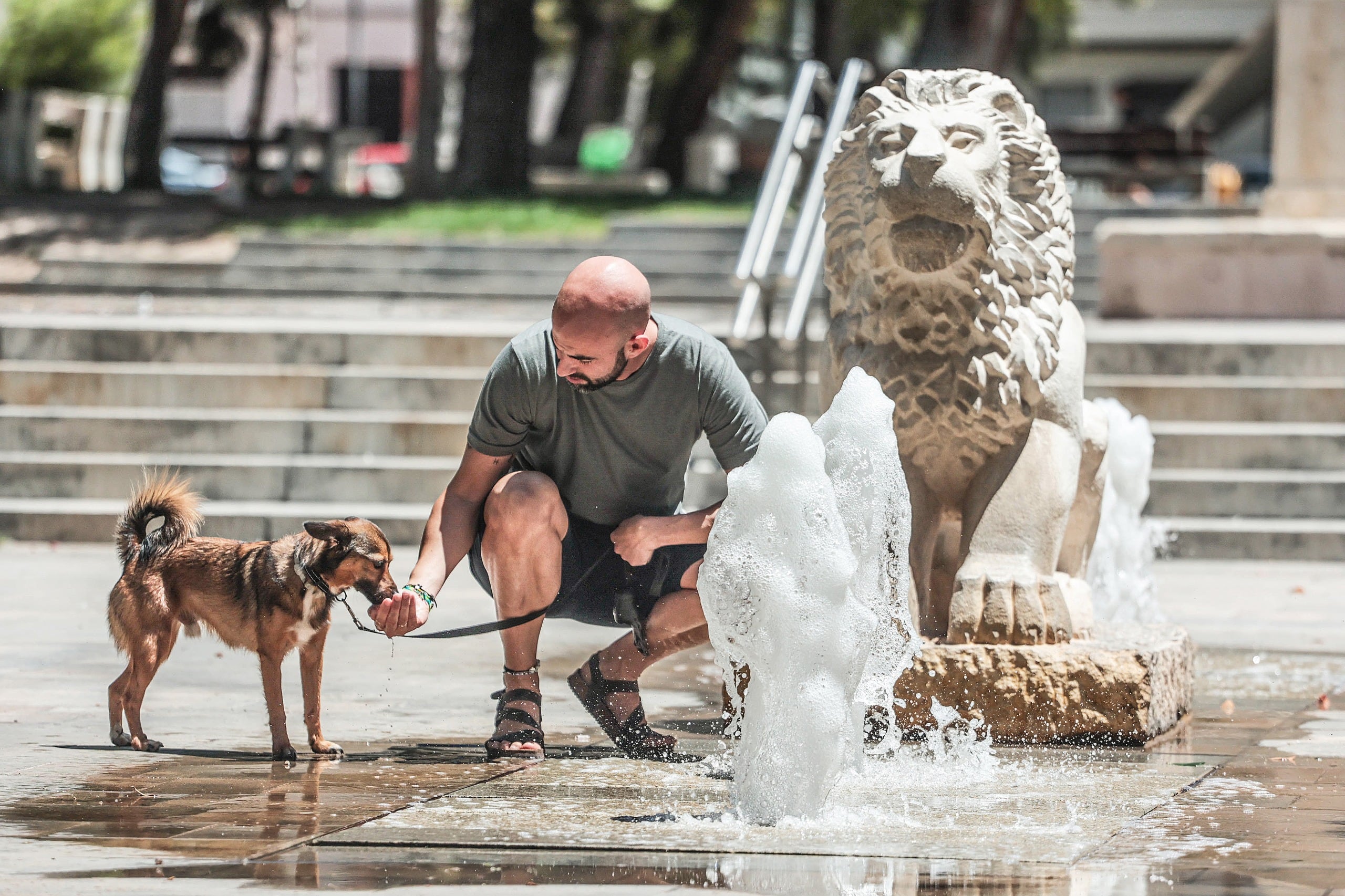 Los eldenses se refrescan para combatir el calor